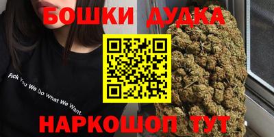 сатива Дубна