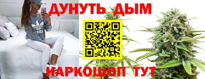 сатива Дубна