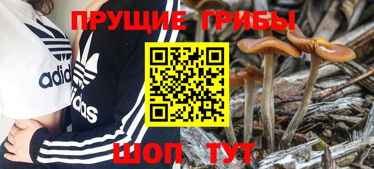 Галлюциногенные грибы GOLDEN TEACHER  Вход с VPN  Новоуральск 